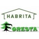 Abri de jardin en bois Habrita 14,75 m2 avec toit plat