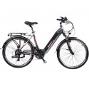 Elektrofahrrad Urban MTF Large 2.4 26 Zoll 522Wh 36V/14.5Ah Rahmen 19'