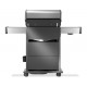 Barbecue gaz Napoleon Rogue® PRO-S 425 RSIB inox SIZZLE ZONE™ 5 brûleurs et 1 arrière