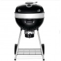 Napoleon Holzkohlegrill PRO22